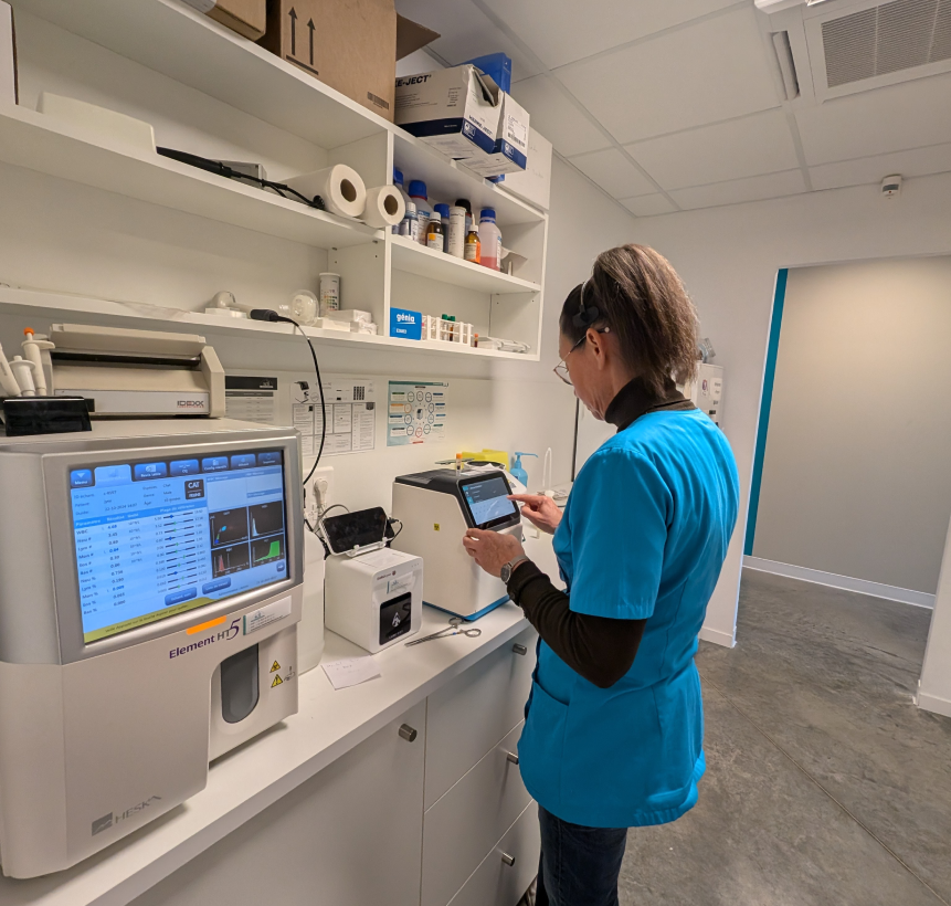 Clinique Veterinaire De La Hainaud Veterinaire A Ernee Laboratoire 1