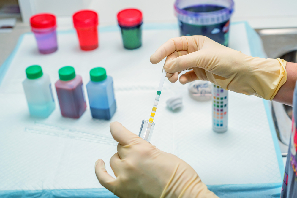 Clinique Veterinaire De La Hainaud Veterinaire A Ernee Laboratoire 4