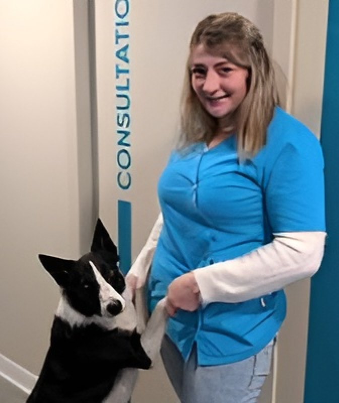 Clinique Veterinaire De La Hainaud Veterinaire A Ernee Lequipe 3 1