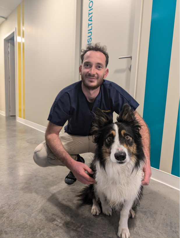 Clinique Veterinaire De La Hainaud Veterinaire A Ernee Lequipe 3