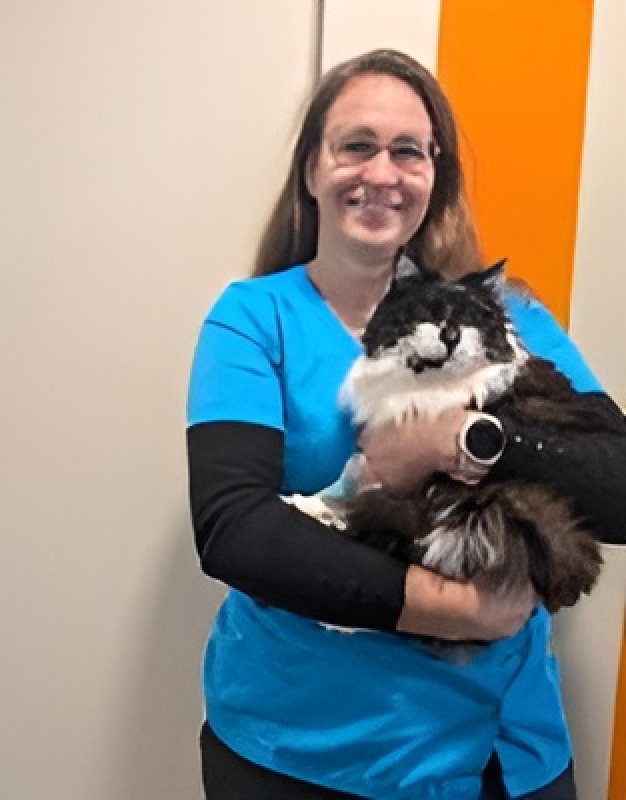 Clinique Veterinaire De La Hainaud Veterinaire A Ernee Lequipe 4 1