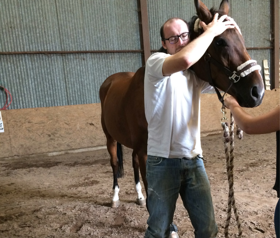 Clinique Veterinaire De La Hainaud Veterinaire A Ernee Osteopathie Acupuncture 3