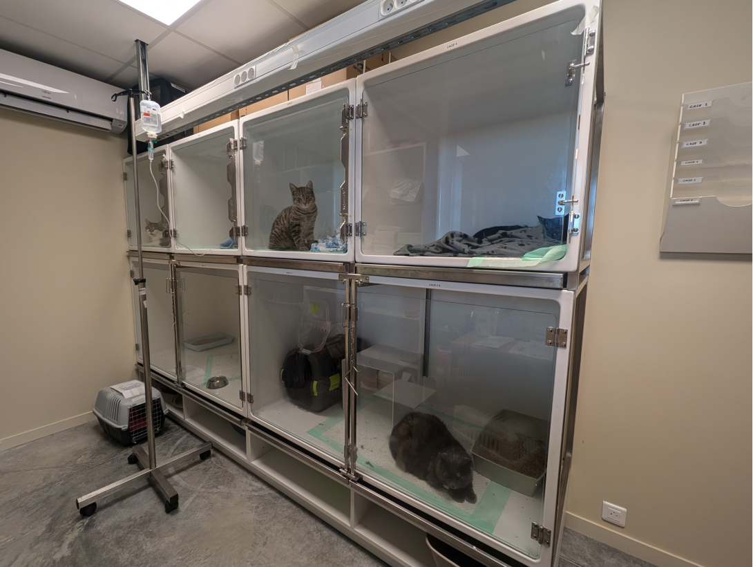 Clinique Veterinaire De La Hainaud Veterinaire A Ernee Structure 1 1