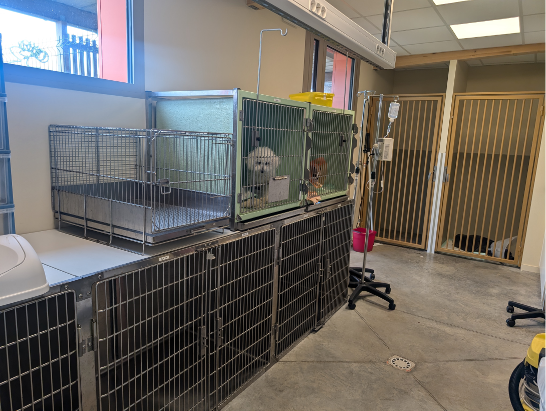 Clinique Veterinaire De La Hainaud Veterinaire A Ernee Structure 2