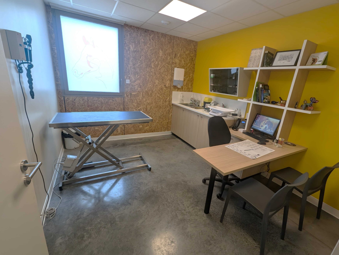 Clinique Veterinaire De La Hainaud Veterinaire A Ernee Structure 3