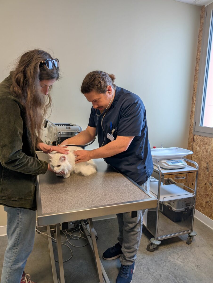 Clinique Veterinaire De La Hainaud Veterinaire A Ernee Consultation