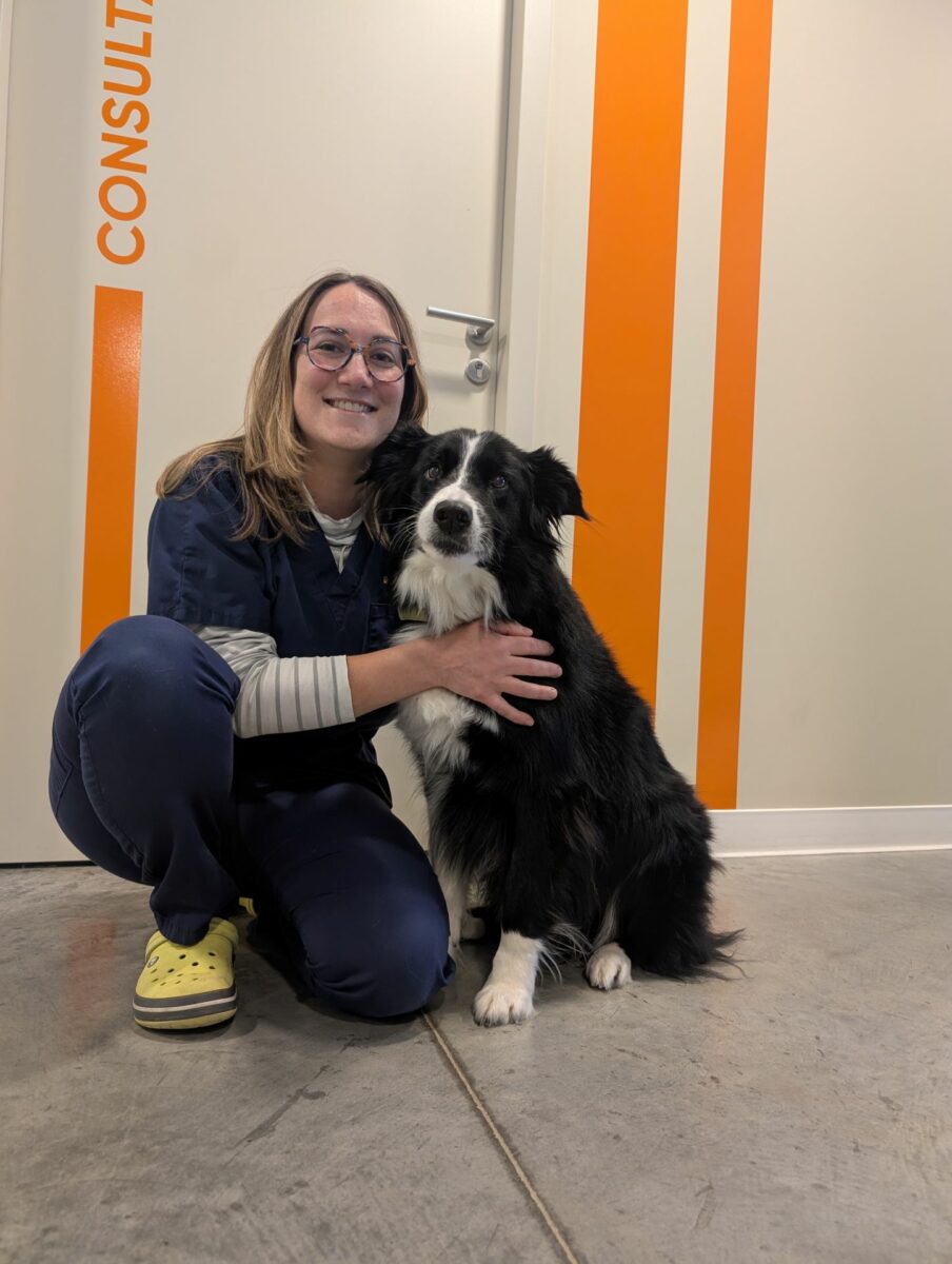 Clinique Veterinaire De La Hainaud Veterinaire A Ernee Dr Begue Gaelle