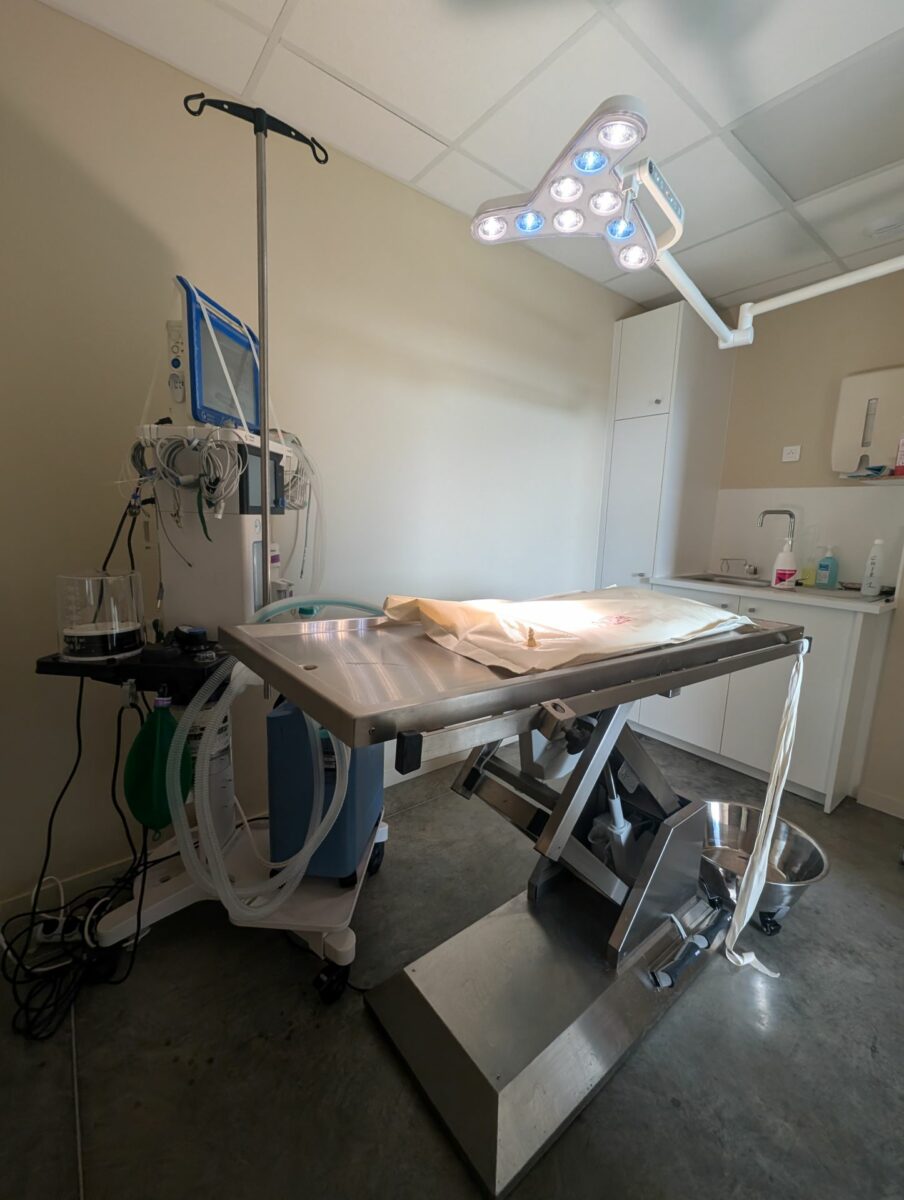 Clinique Veterinaire De La Hainaud Veterinaire A Ernee Salle De Chirurgie 2 Clinique Veterinaire De La Hainaud Veterinaire A Ernee Salle De Chirurgie 2