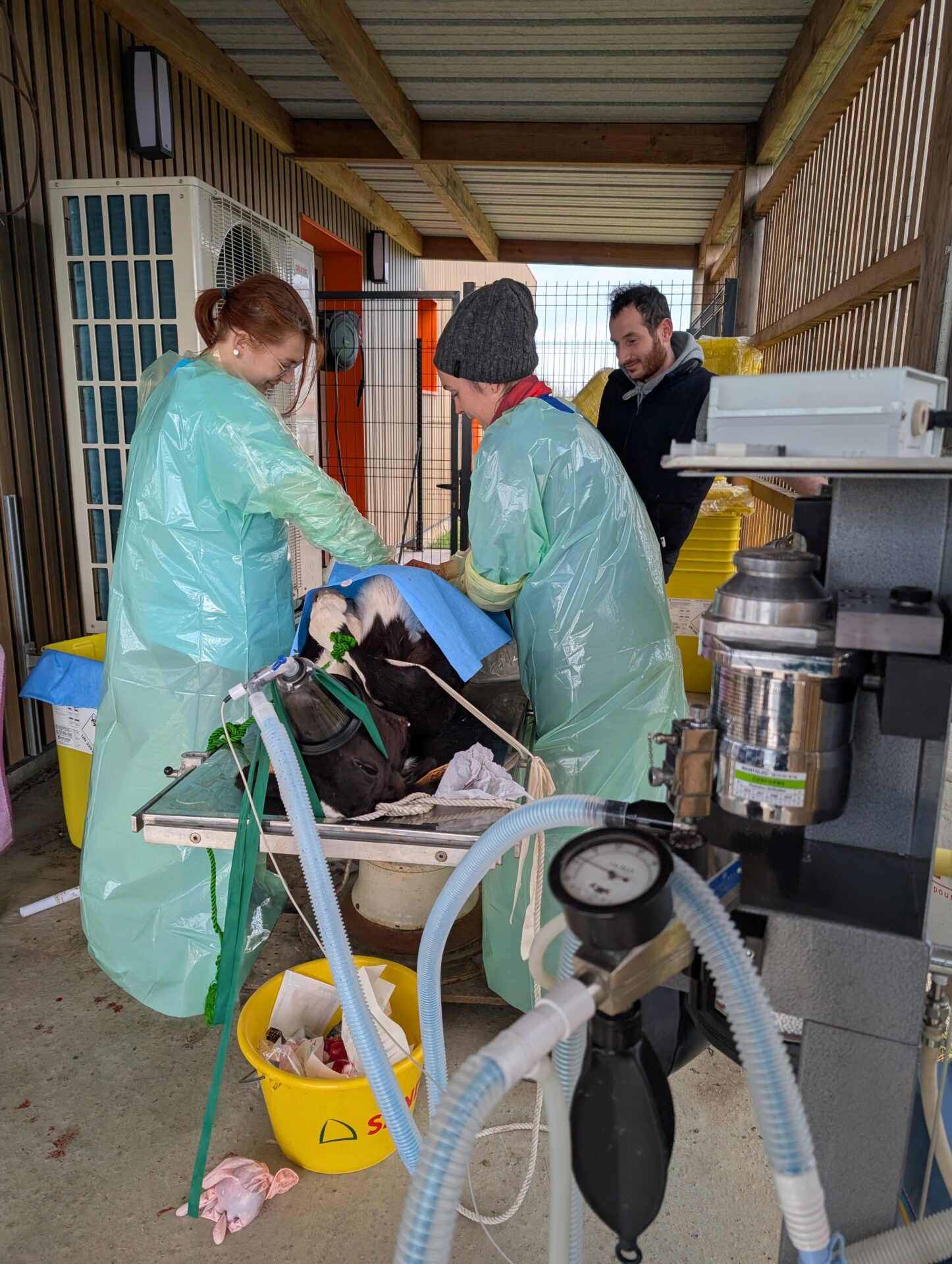 Clinique Veterinaire De La Hainaud Veterinaire A Ernee PXL 20250326 144120690.MP