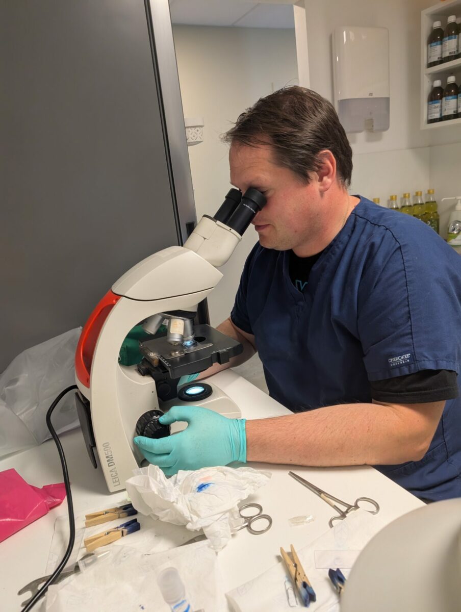 Clinique Veterinaire De La Hainaud Veterinaire A Ernee PXL 20250830 093502612